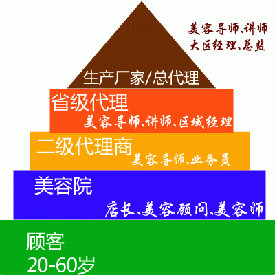美容行业专业线的职位分类
