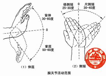 美容师手操腕枢纽矫捷性操练