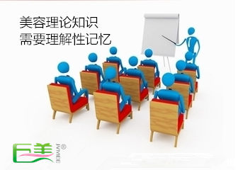 初学美容实际常识进修要点