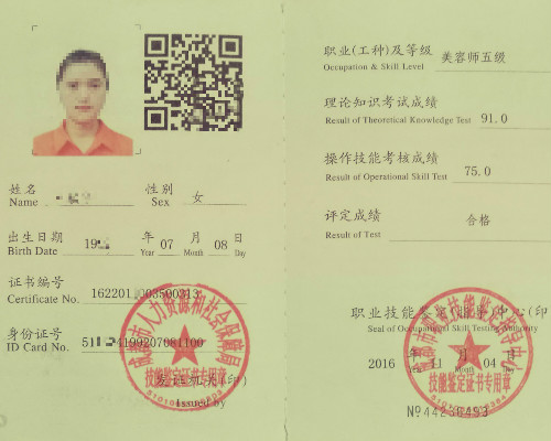 美容师资历证样本品种和品级
