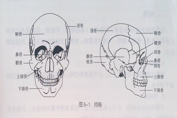 成都美发培训黉舍