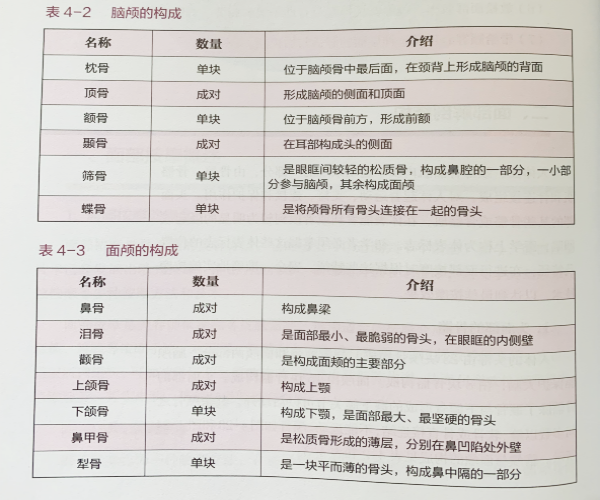 成都美容培训黉舍