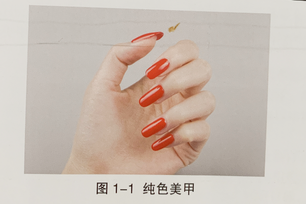 美甲的种别
