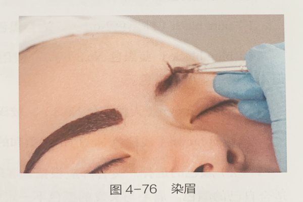 染眉的观点与感化