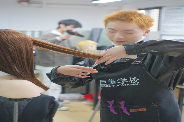 美发黉舍教甚么课程