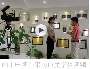 成都巨美化装黉舍logo